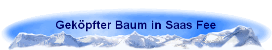 Gekpfter Baum in Saas Fee